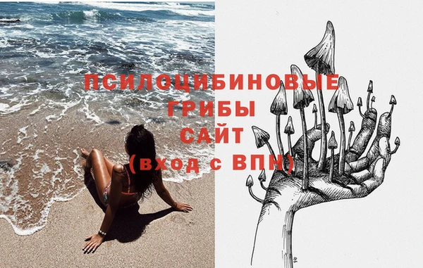 спайс Алексин