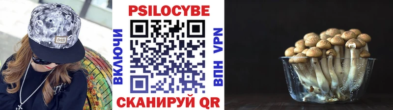 Галлюциногенные грибы прущие грибы  Циолковский 